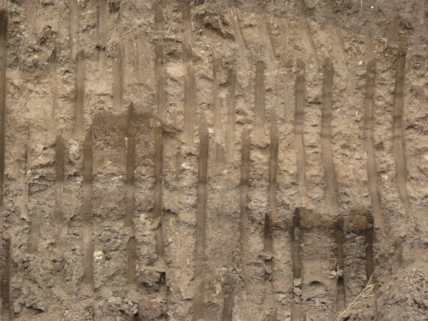 Texture of dark brown dirt wall with smooth vertical marks dug into it and an area of green and yellow grass at the top.